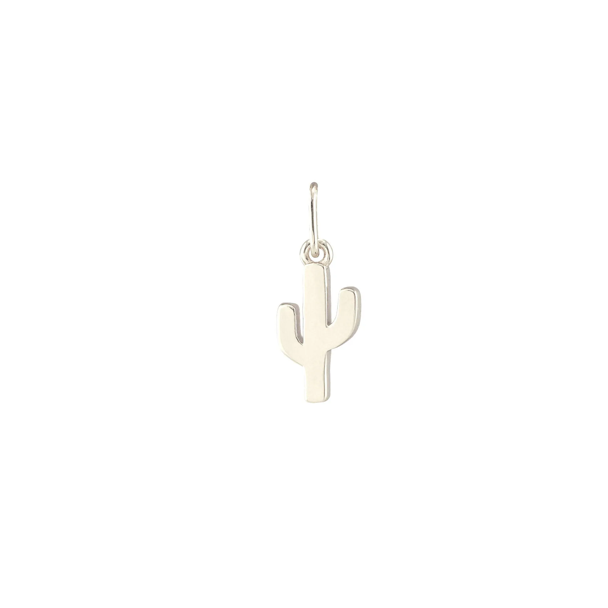 Cactus Charm