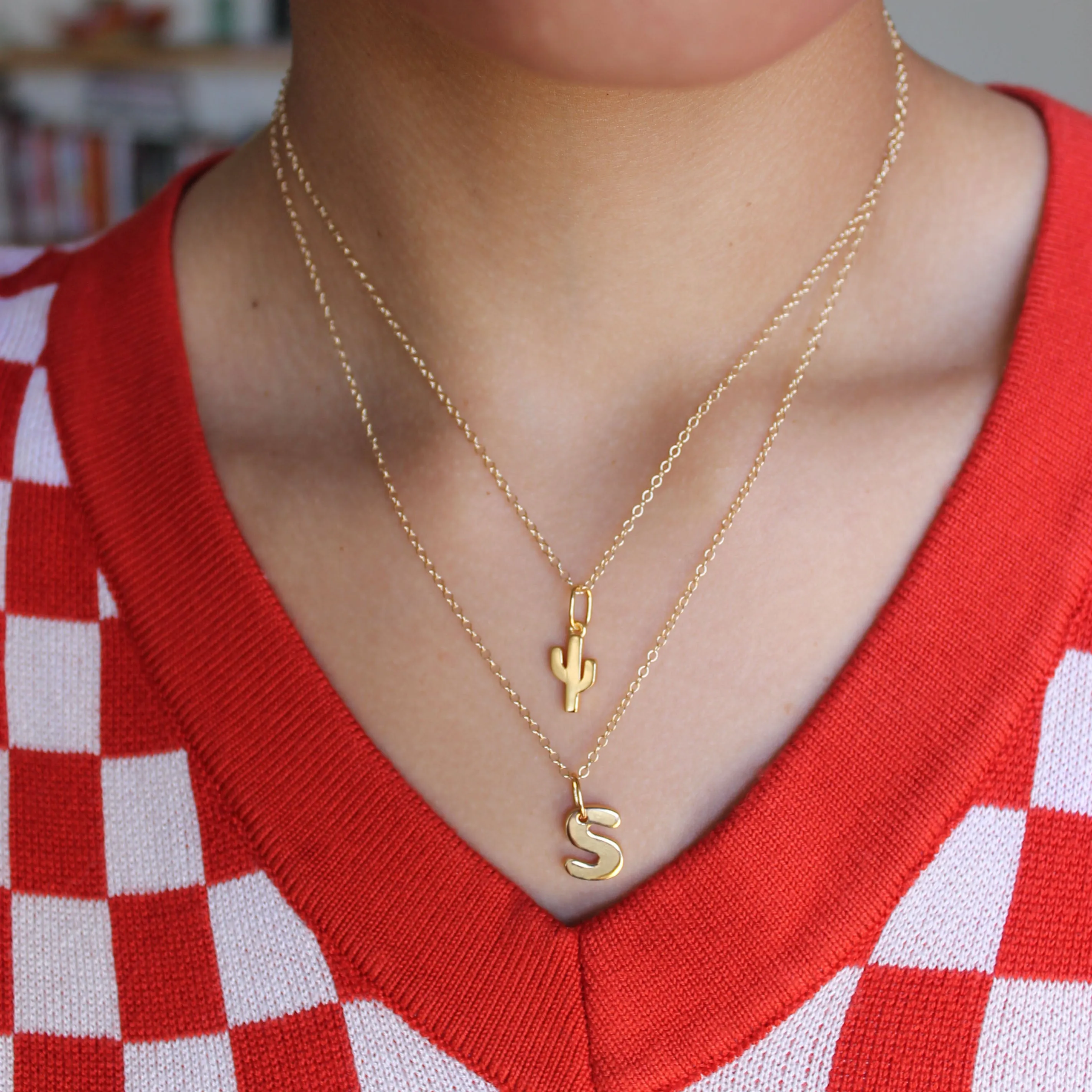 Cactus Charm