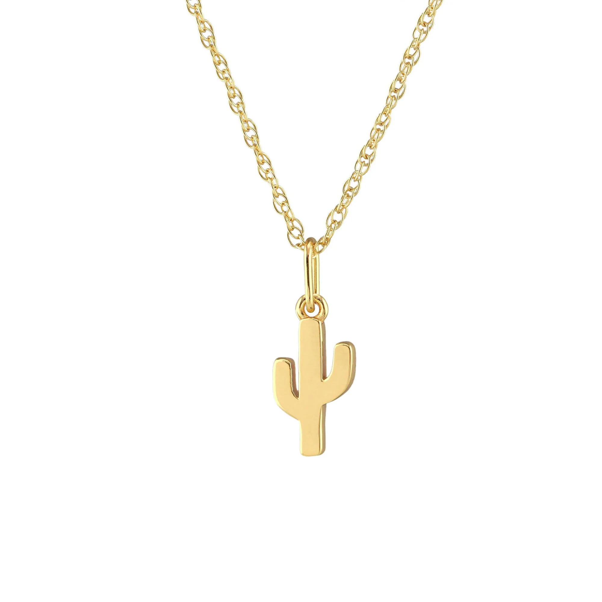 Cactus Charm