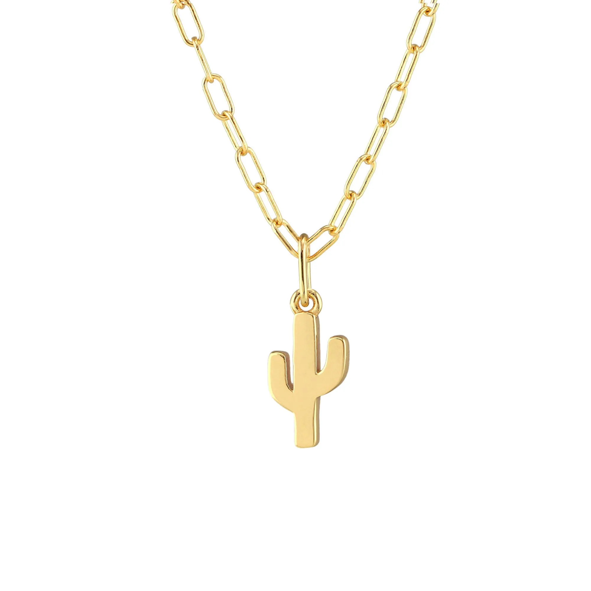 Cactus Charm