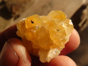 Natural Mini Limonite Quartz Clusters x 52 From Solwezi, Zambia