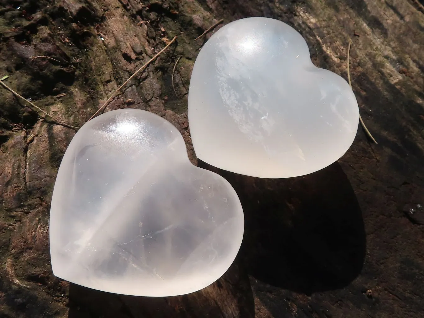 Polished Girasol Pearl Quartz Hearts x 12 From Ambatondrazaka, Madagascar